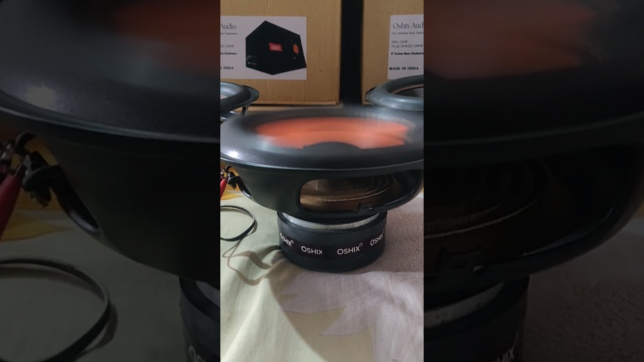 Double Magnet 10 Inch Subwoofer 