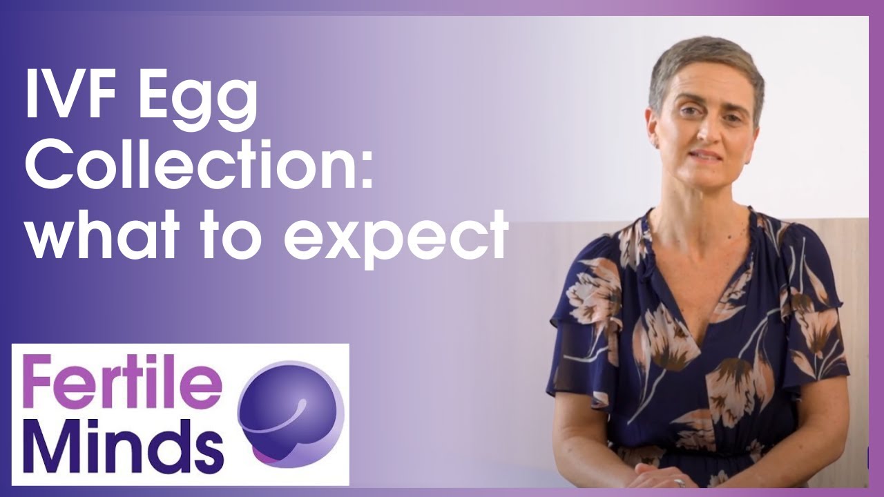 IVF Egg Collection: What to Expect - Fertile Minds