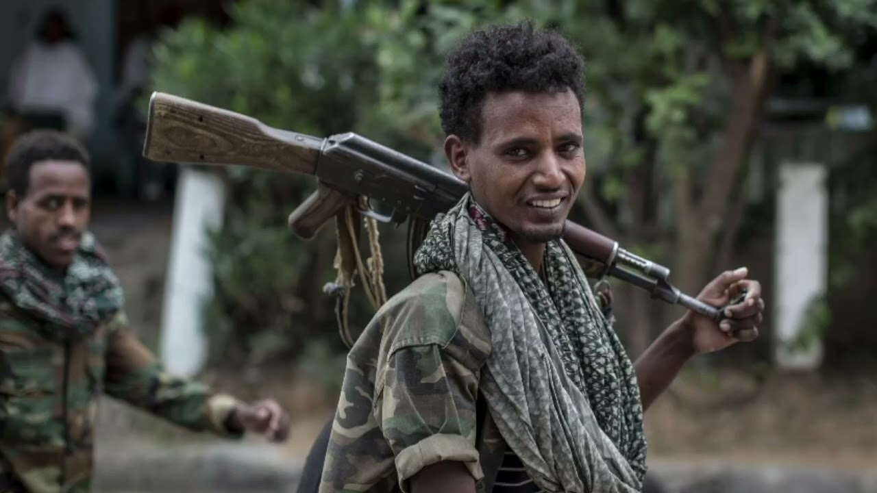 World Studies Project &mdash;  Tigray War &mdash;  Documentary