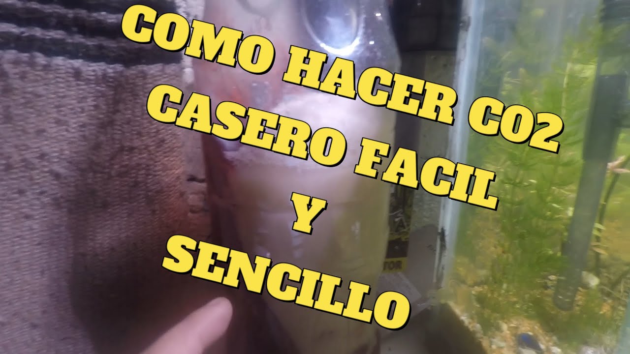 como hacer co2 casero con gelatina