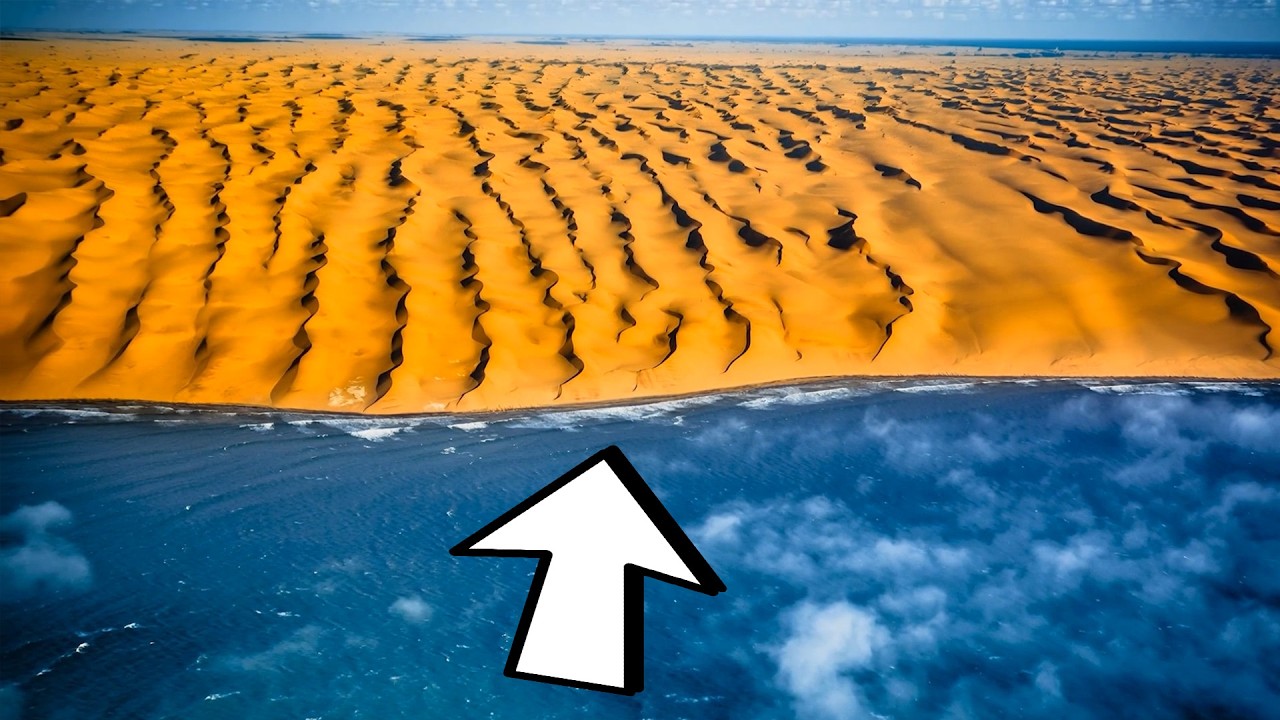 15 STRAIGHT LINES in Nature
