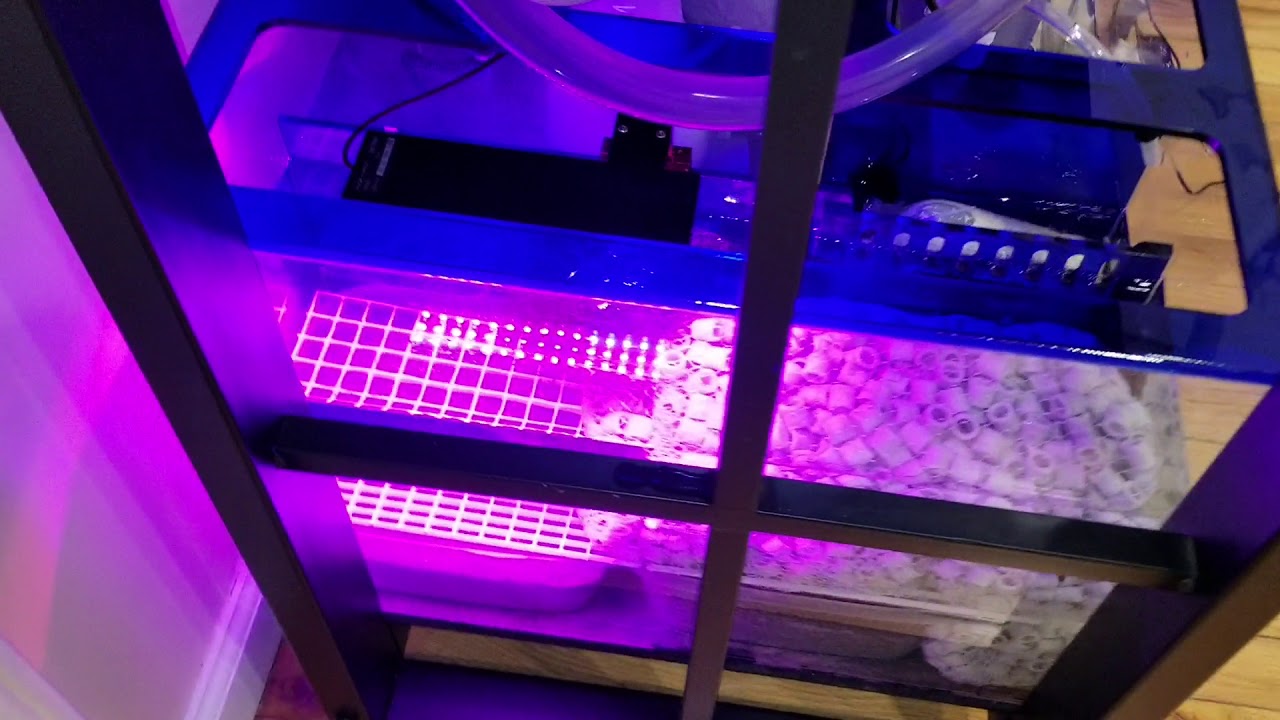 Ep9: Innovative Marine 2-n-1 ChaetoMax/Miracle Mud