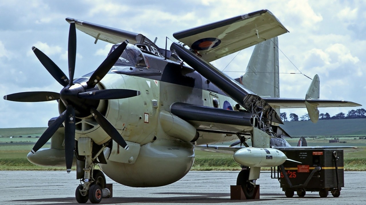 Britain's UGLIEST Aircraft Served 40 Years (Gov't Killed It)