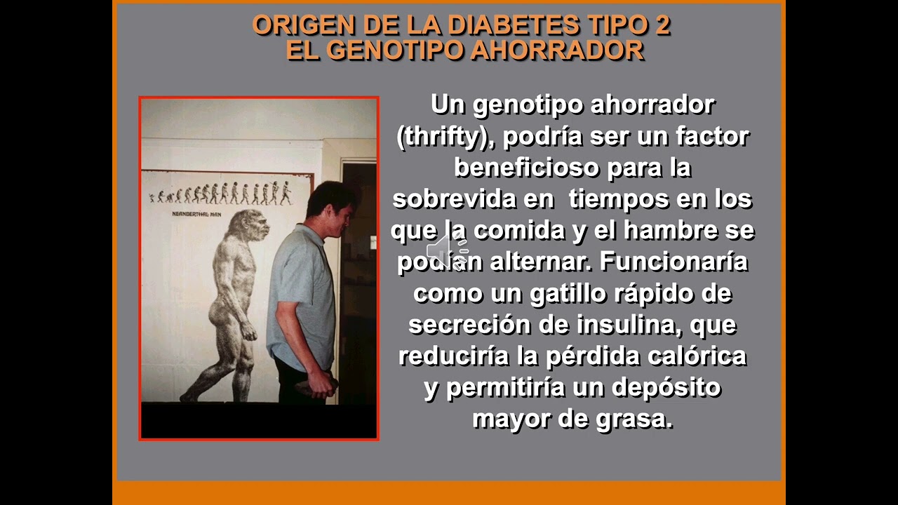DBT 2