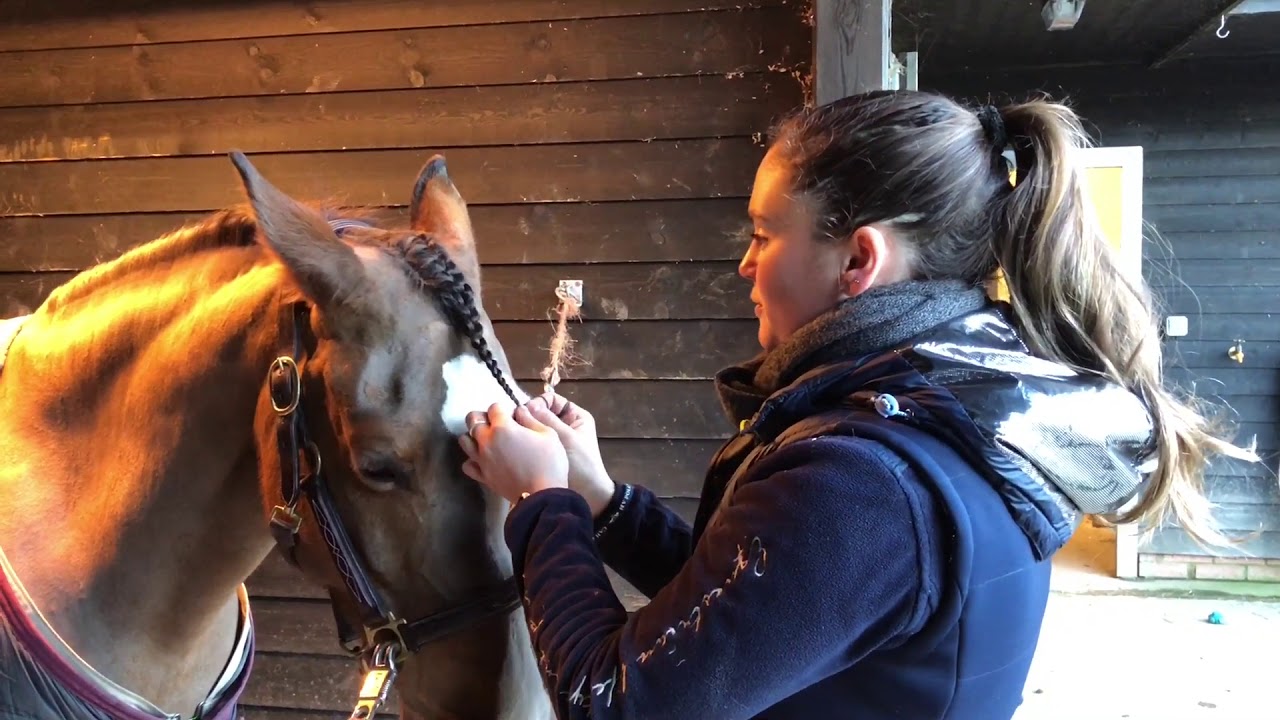 How to do a simple forelock plait! Horse riding Top tips week 3!