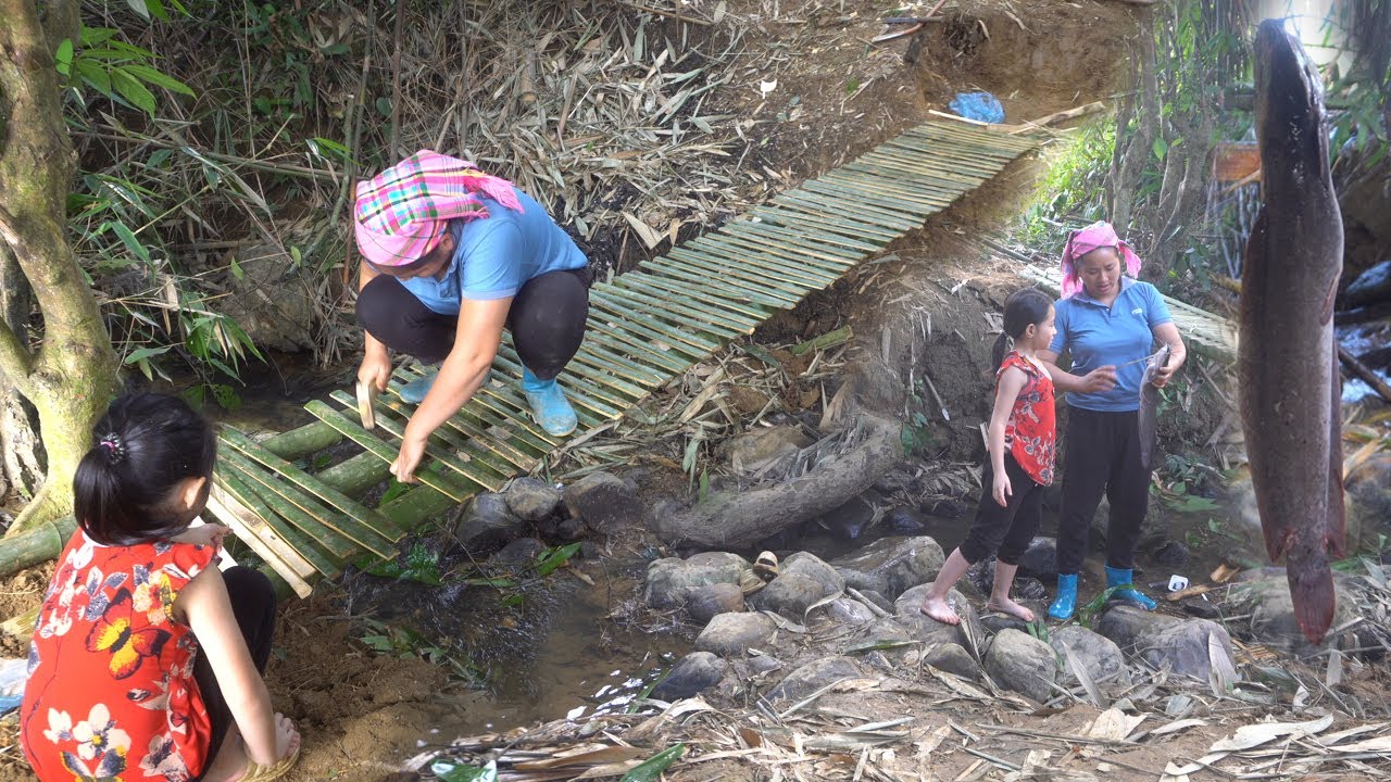 Hard Life in the Forest: A Single Mother Builds a Small Bridge and Catches Fish for Food