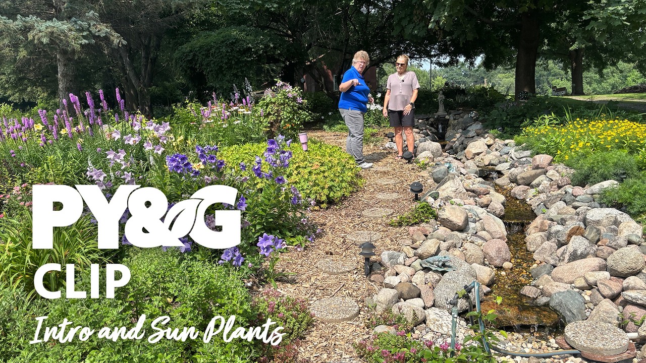 Intro and Sun Plants | The Perennial Paradise | Prairie Yard & Garden 3902
