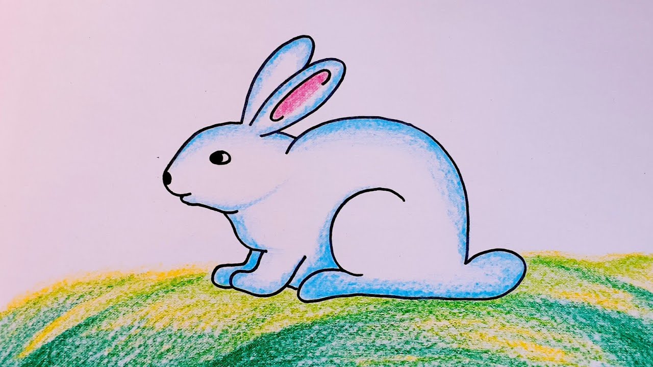 How to Draw Rabbit for Beginners || Rabbit Drawing Colour || Cute Rabbit Drawing Step by Step..