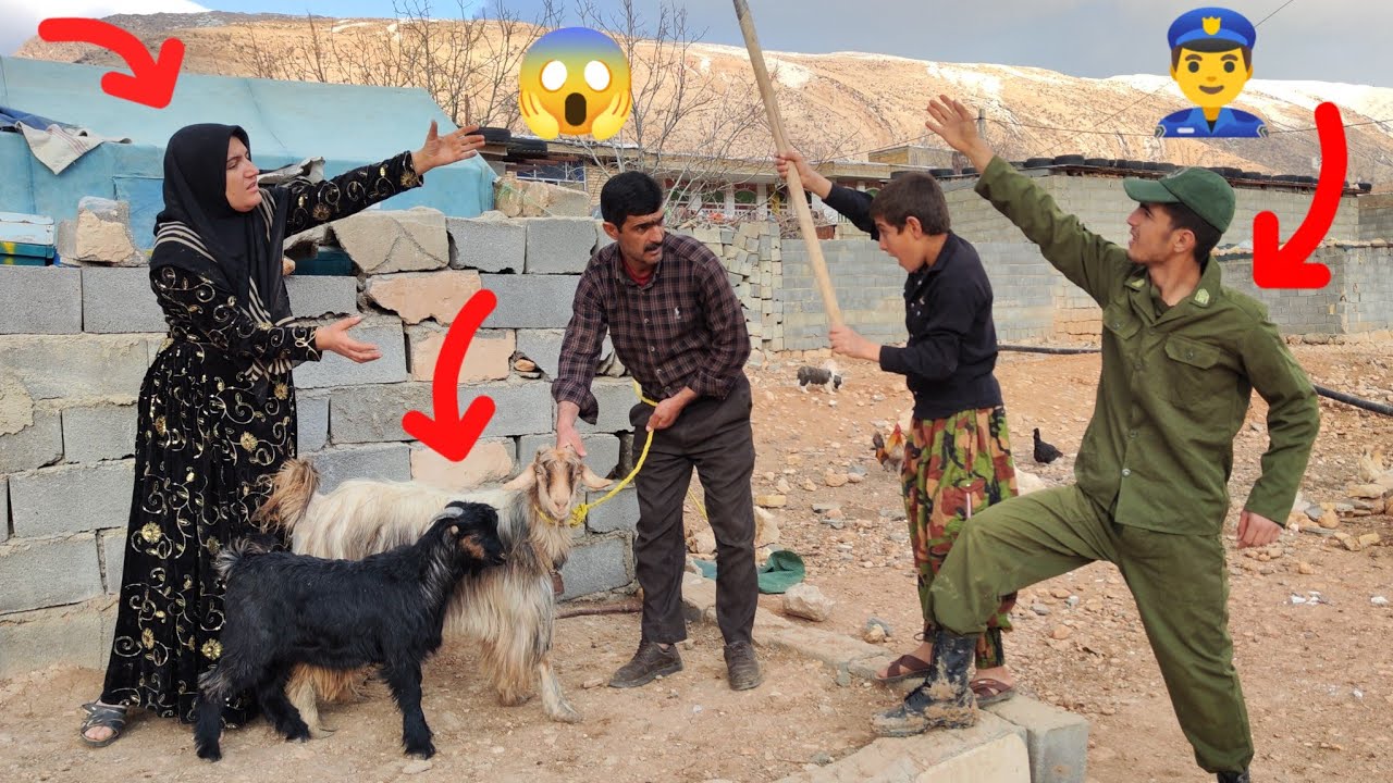 Sheep Stealing and Nomadic Conflicts: The Story of Ruqyah's Family and the Police's Response
