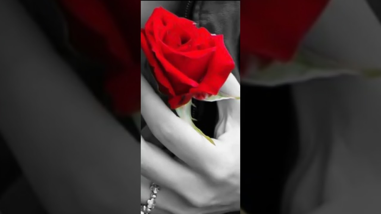 Cerul verii straveziu