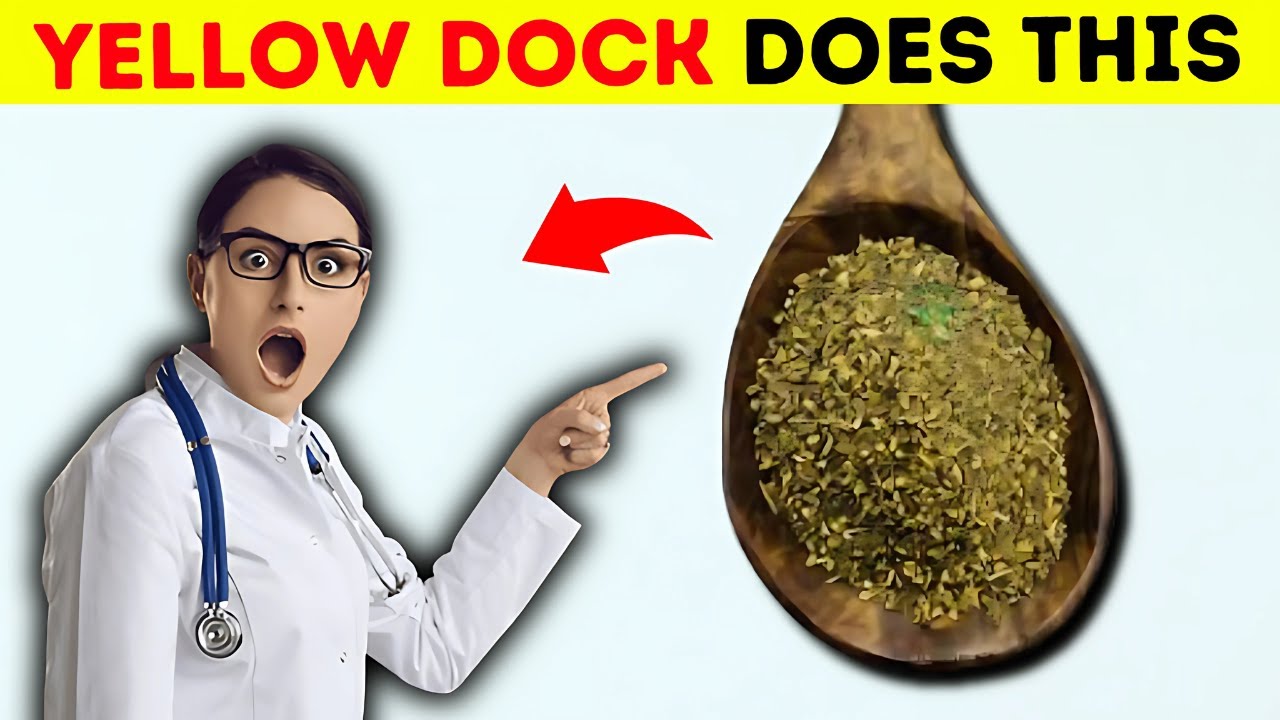 Top 5 Health Benefits of Yellow Dock Root You Should Know!