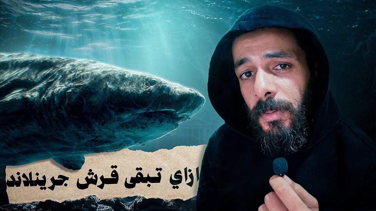 الحياة من وجهة نظر قرش جرينلاند
