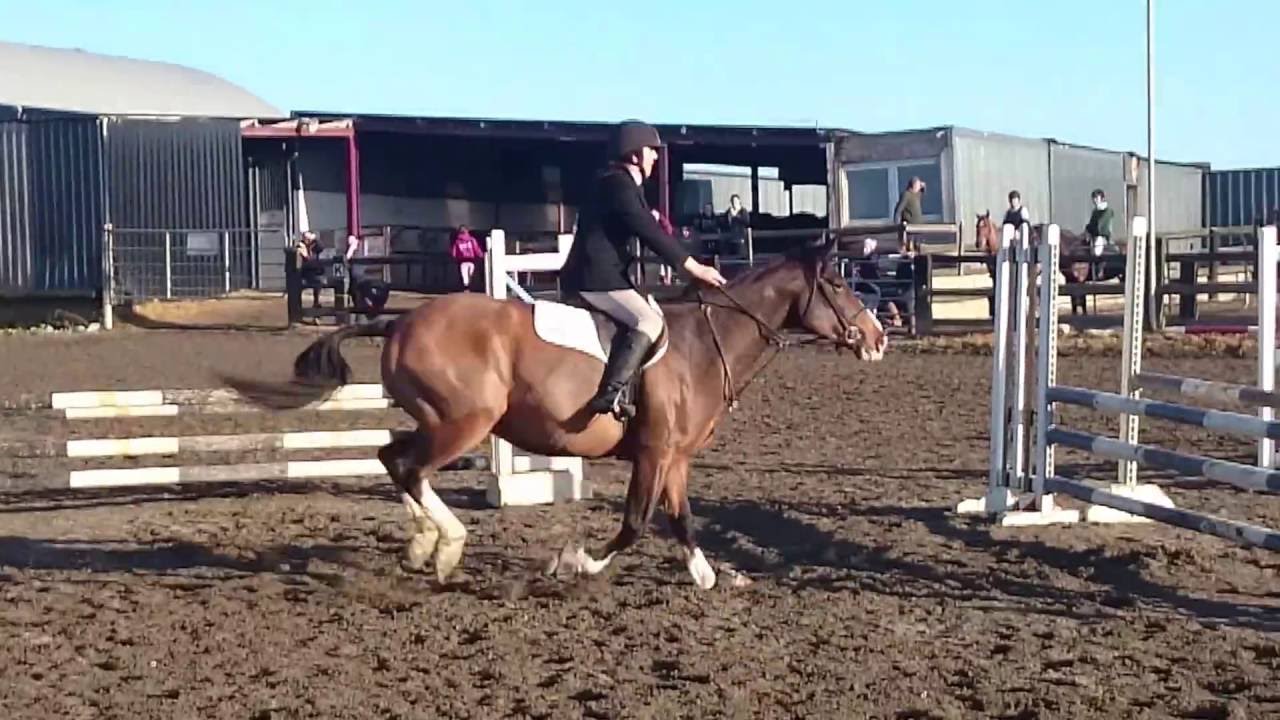 Ruben jumping in Athlone