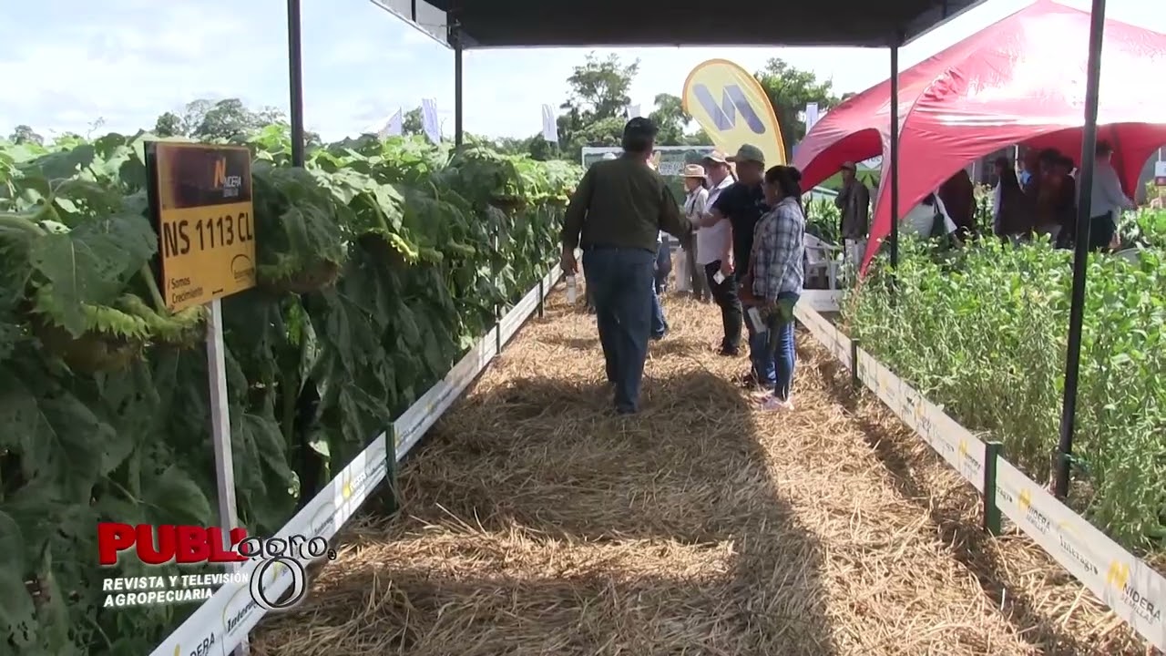 INTERAGRO EN LA EXPOSOYA 2026