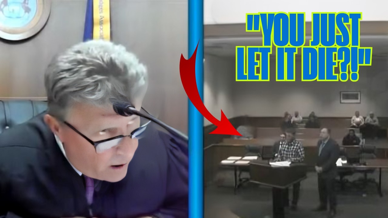 Judge Slams Defendant for Leaving Rabbit to Freeze — Calls It “Cruel” in Court
