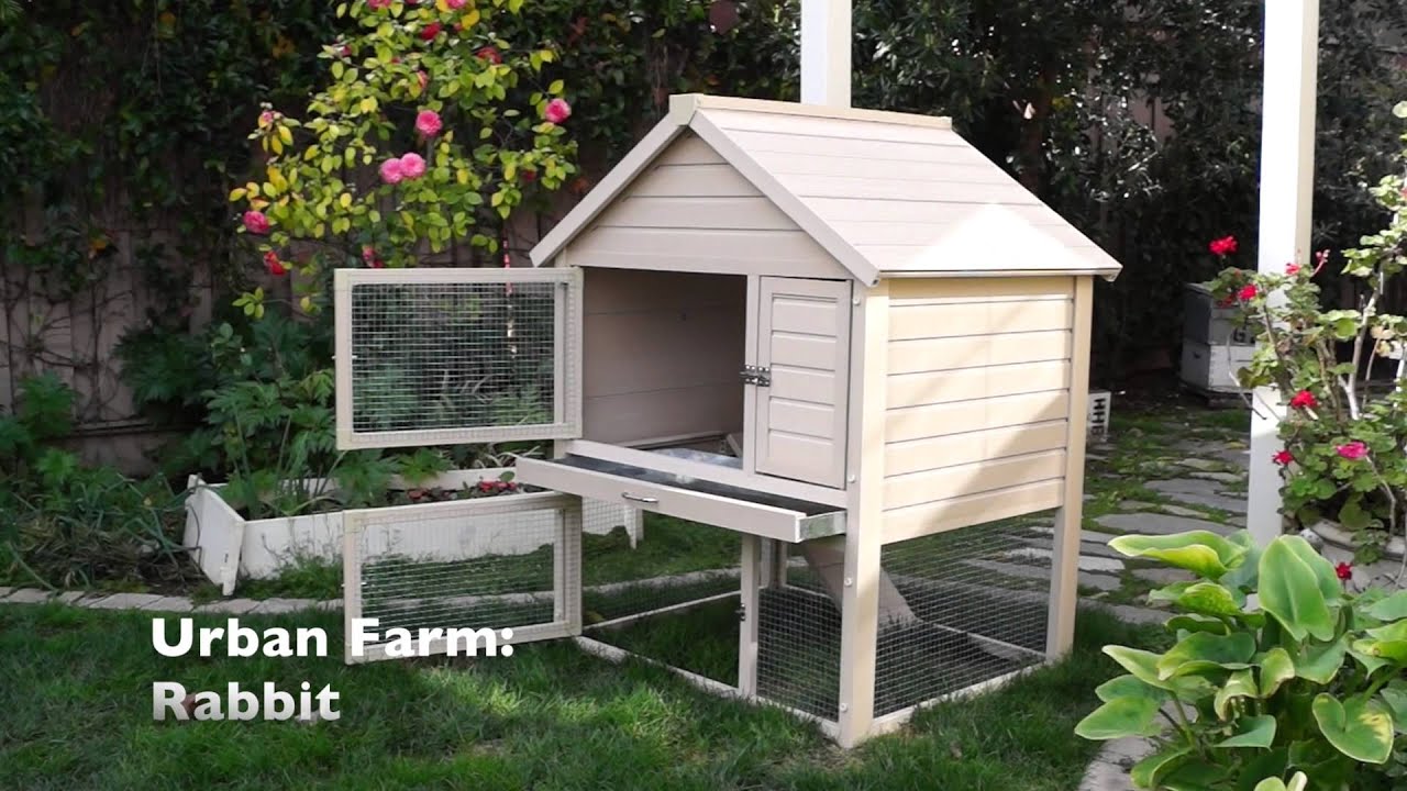 New Age Pet Product Overview and What's New in 2015