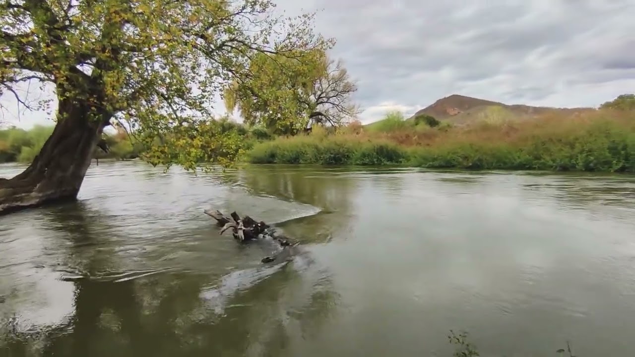 Caminando a orillas del Rio Mayo / Camoa, Sonora, M&eacute;xico. [ ASMR ]