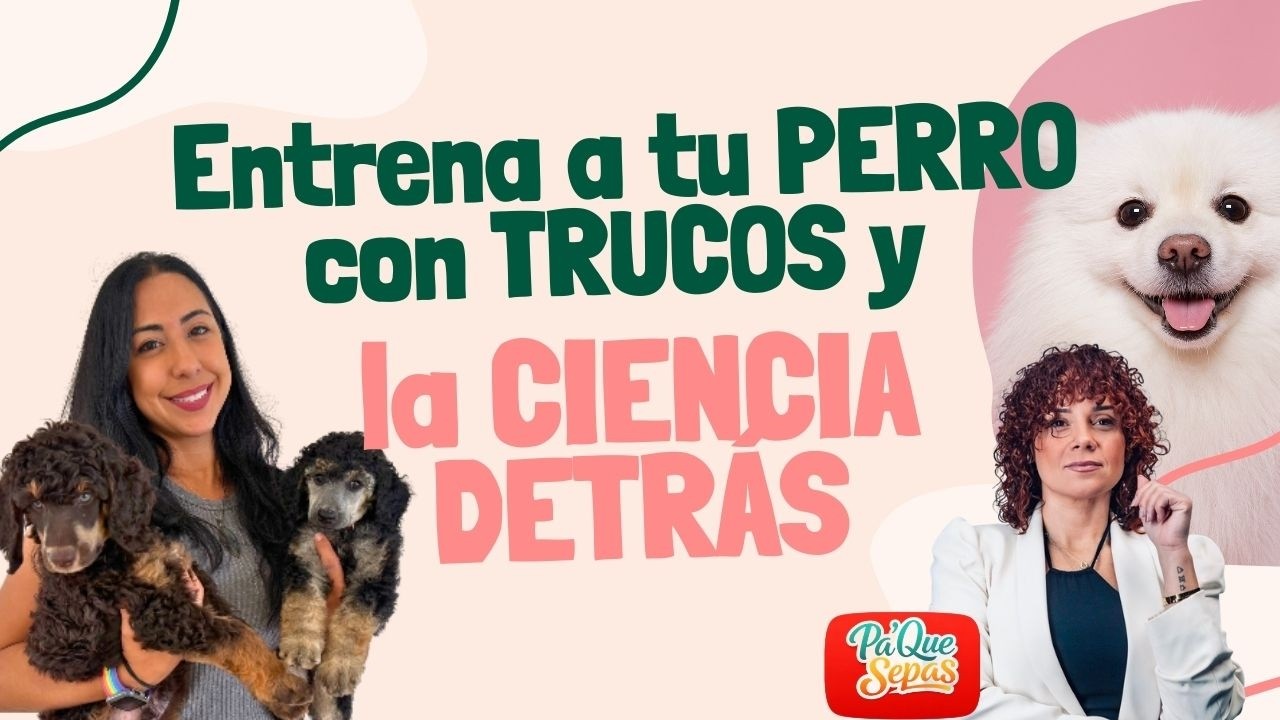 TRUCOS Y CIENCIA DETRAS DE TUS MASCOTAS