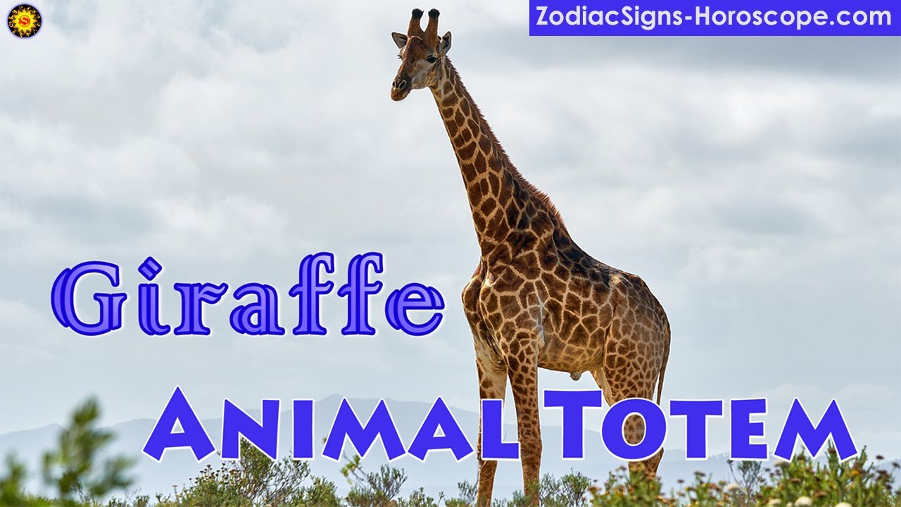 Giraffe Animal Totem - Giraffe Spirit Animal Meaning, Symbolism, Dream of the Giraffe Totem