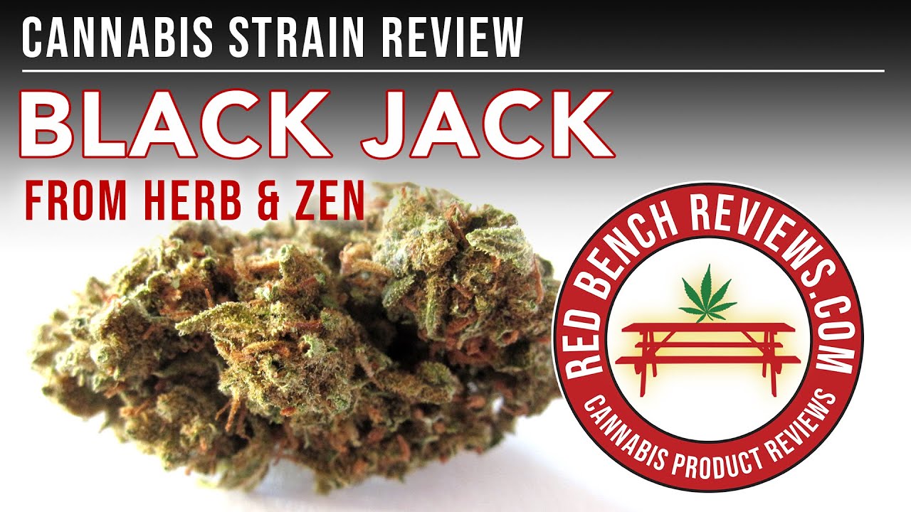 Herb & Zen | Обзор сорта Black Jack | 27,9% ТГК!