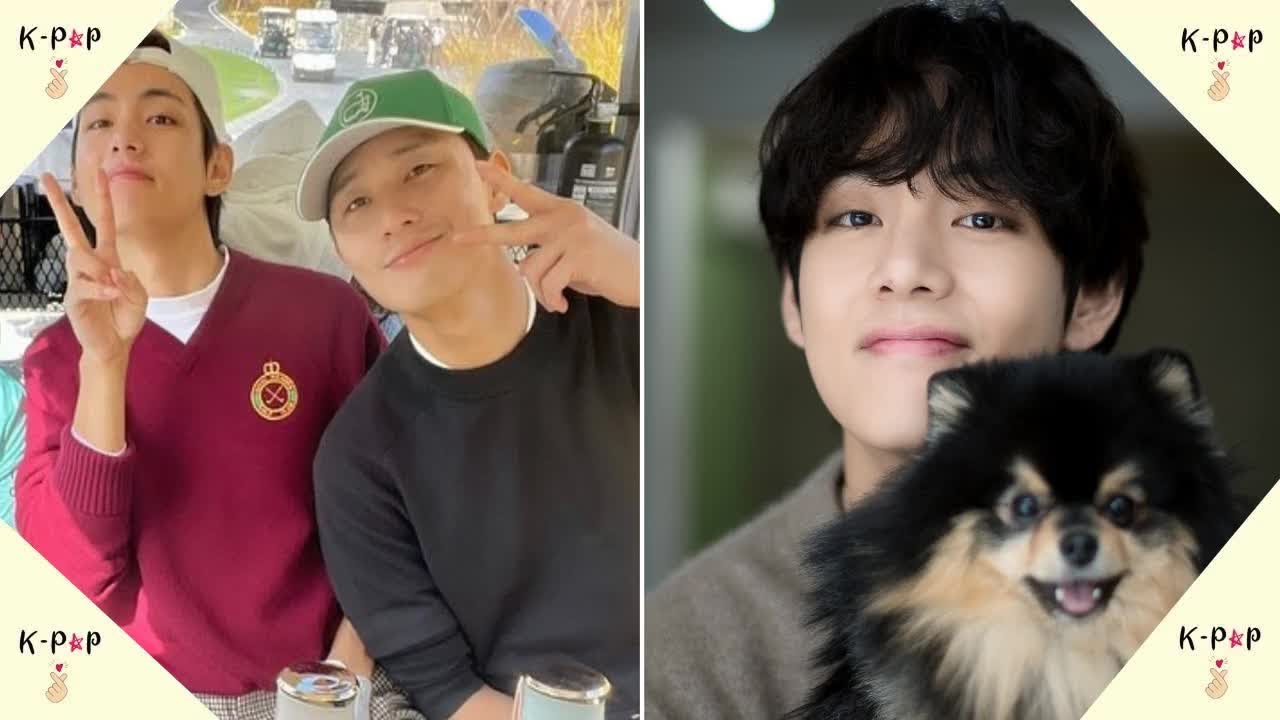 BTS's V Reunites With Park Seo Joon To Play Golf, And ARMYs Notice Yeontan Making A Cute Cameo