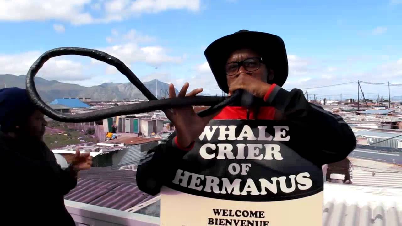 The Whale Crier