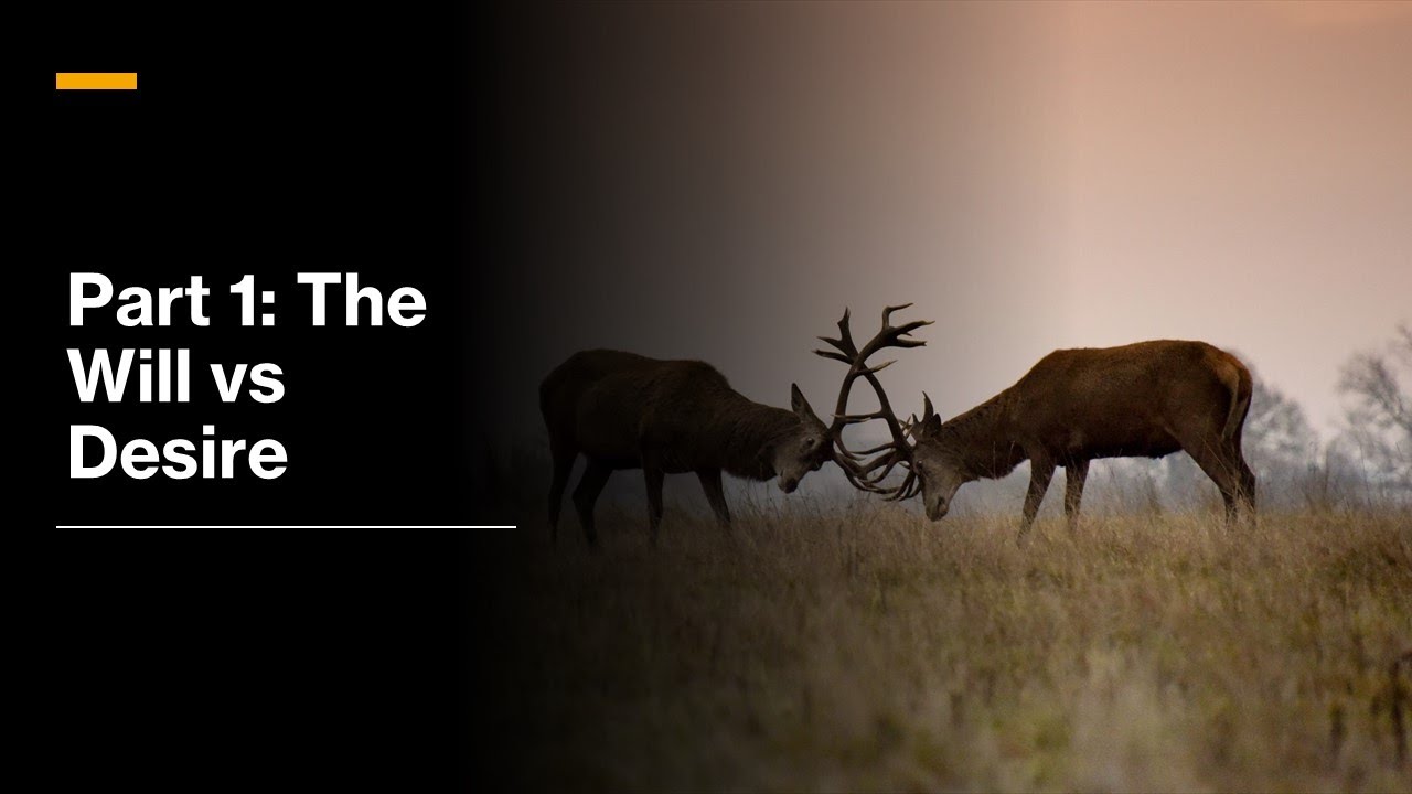 Dallas Willard- Renovaré 2 - Part 1 - Why Am I Here? - The Four Great Questions of Life