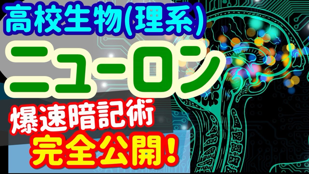 【高校生物 42】神経【ニューロン】を宇宙一わかりやすく