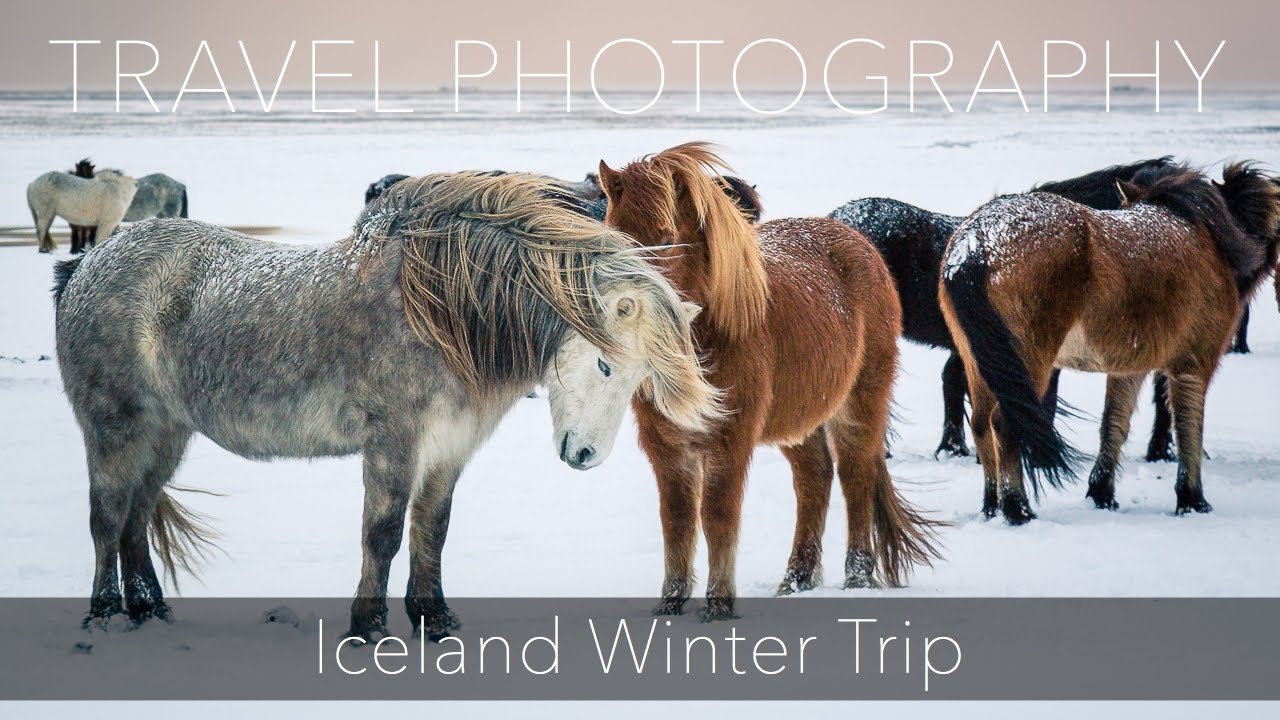 Iceland Winter Trip