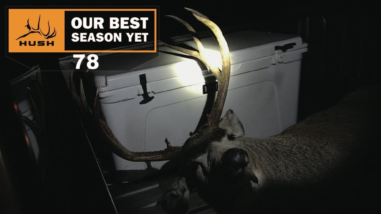 BSY | SALVAGED A ROAD KILL BUCK | S1E78