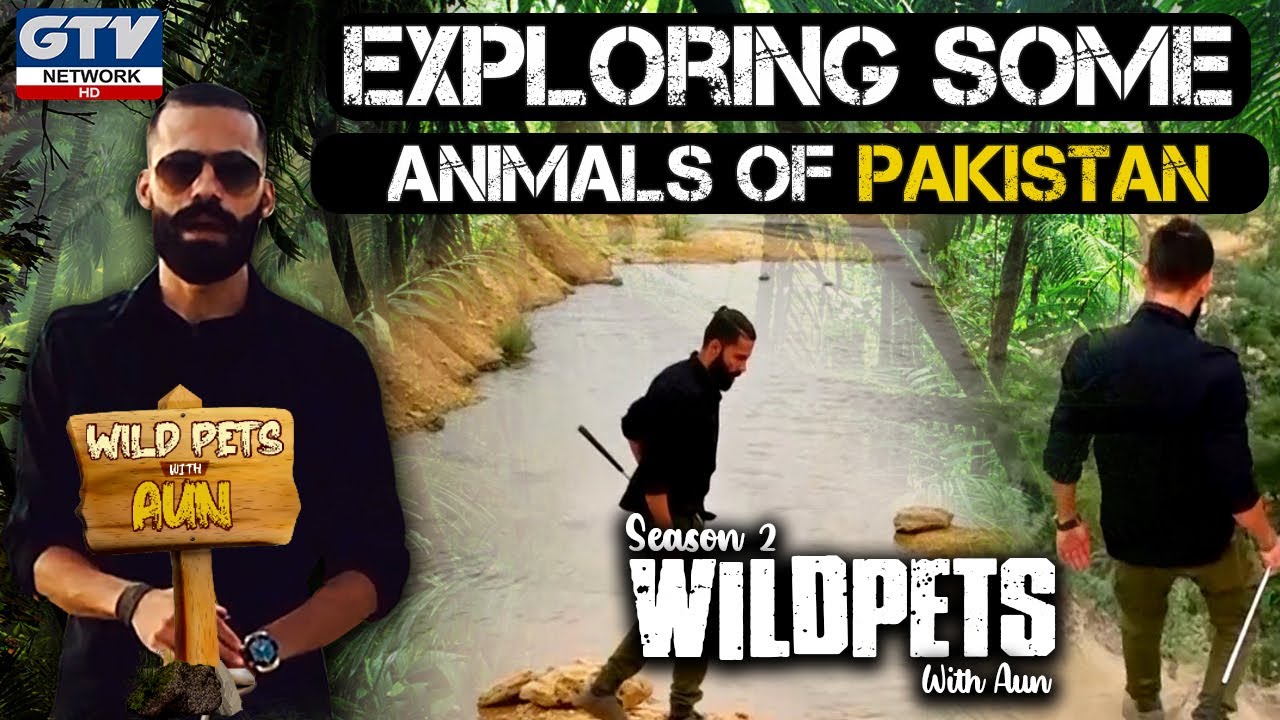 Exploring Some Animals of Pakistan? I Wild Pets With Aun I Season 2 | 08 November 2020