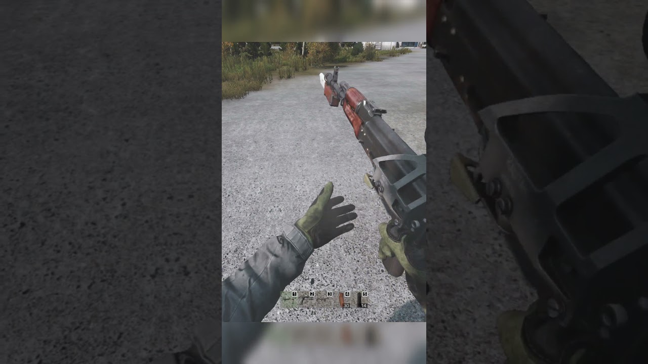 Что такое зарядить оружие в DayZ