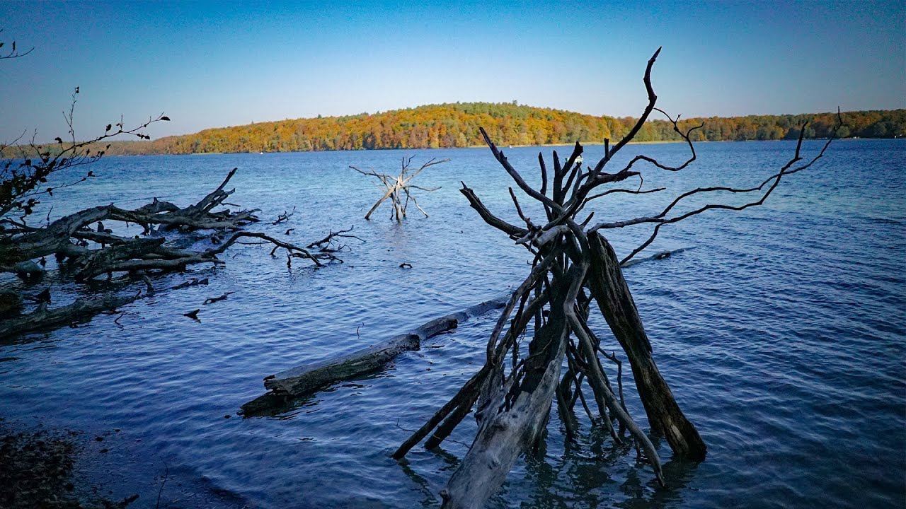 Hechtjagd auf Sicht - Angeln am KLARSTEN SEE Brandenburgs