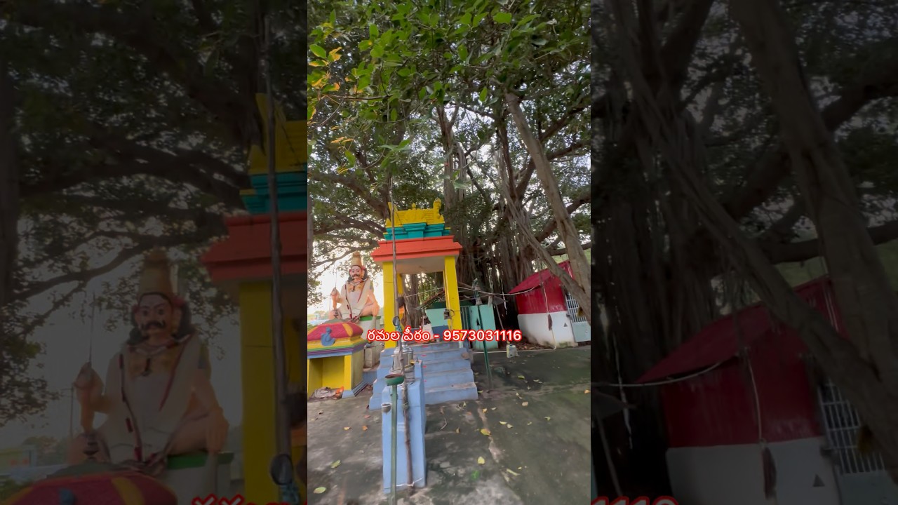అరుణాచలం వెళ్ళే మార్గంలో 