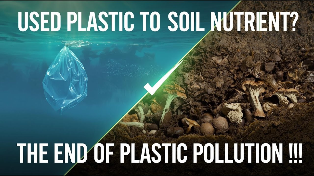 Soil Pollution to Soil Purity- R&D Mission