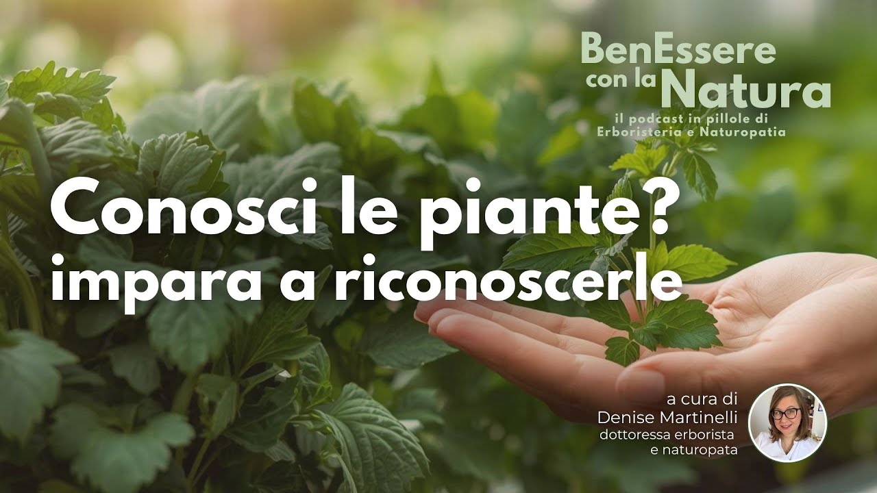 EP 1 -  impara a riconoscere le piante