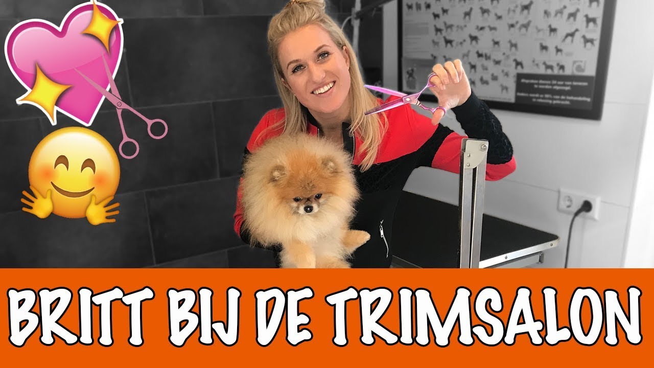 Britt als hondenkapper 😱 | DierenpraatTV