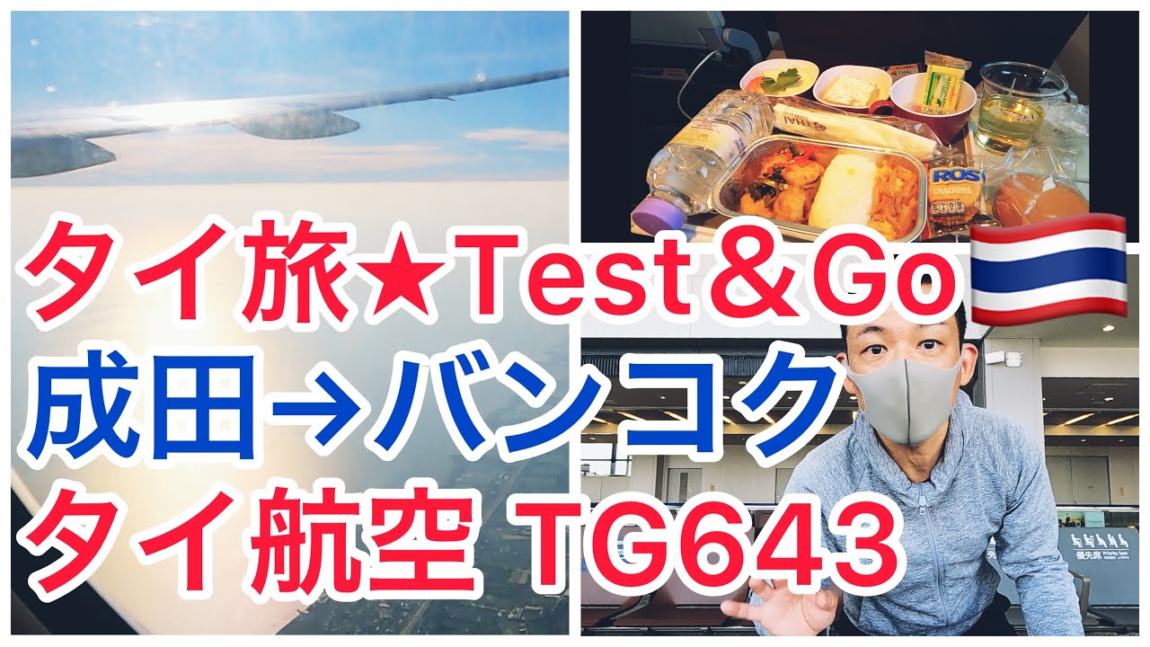 タイ旅🇹🇭Test&Go★成田&rarr;バンコクTG643機内食＆海と山の絶景タイ航空✨Thailand Pass必要書類！