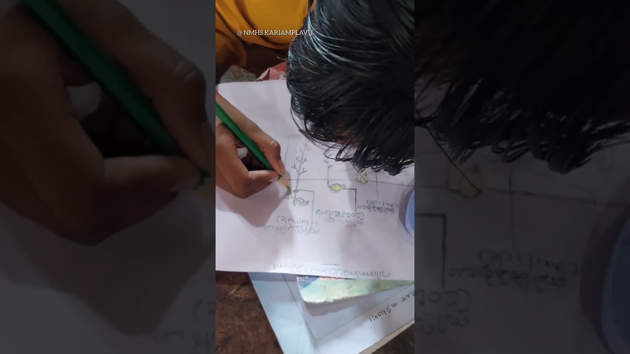 FIRST TERM SCIENCE MAGAZINE CLASS 5& 7 NMHS KARIAMPLAVU 