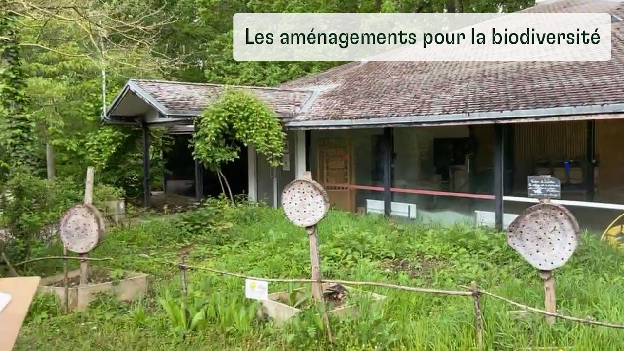 Les aménagements pour la biodiversité