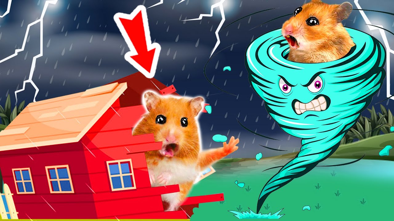Challenges Hamster Rain Lightning Maze Tornado In hamster Stories