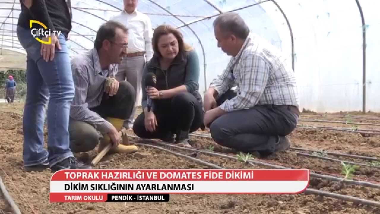 TARIM OKULU - TOPRAK HAZIRLIĞI VE DOMATES FİDE EKİMİ