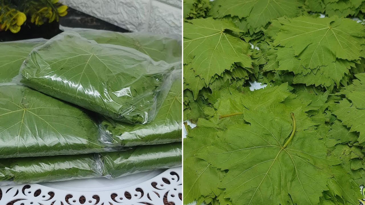 طريقة تخزين الورق عنب❗الحقى اشتريه وبالطريقة الصح احفظية❗هيعد معاكى سنين بنفس الطعم والمذاذه