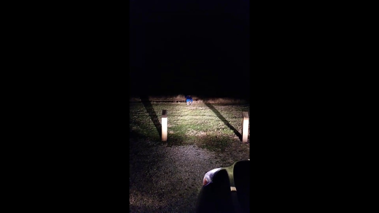 REAL WENDIGO CAUGHT ON CAMERA!!!