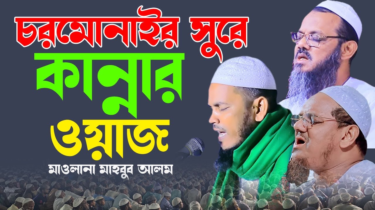 অবিকল চরমোনাইর সুরে কান্নার বয়ান | জাহান্নামের ওয়াজ | মাওলানা মাহবুব আলম | 01734-425667 | Waz 2024 |