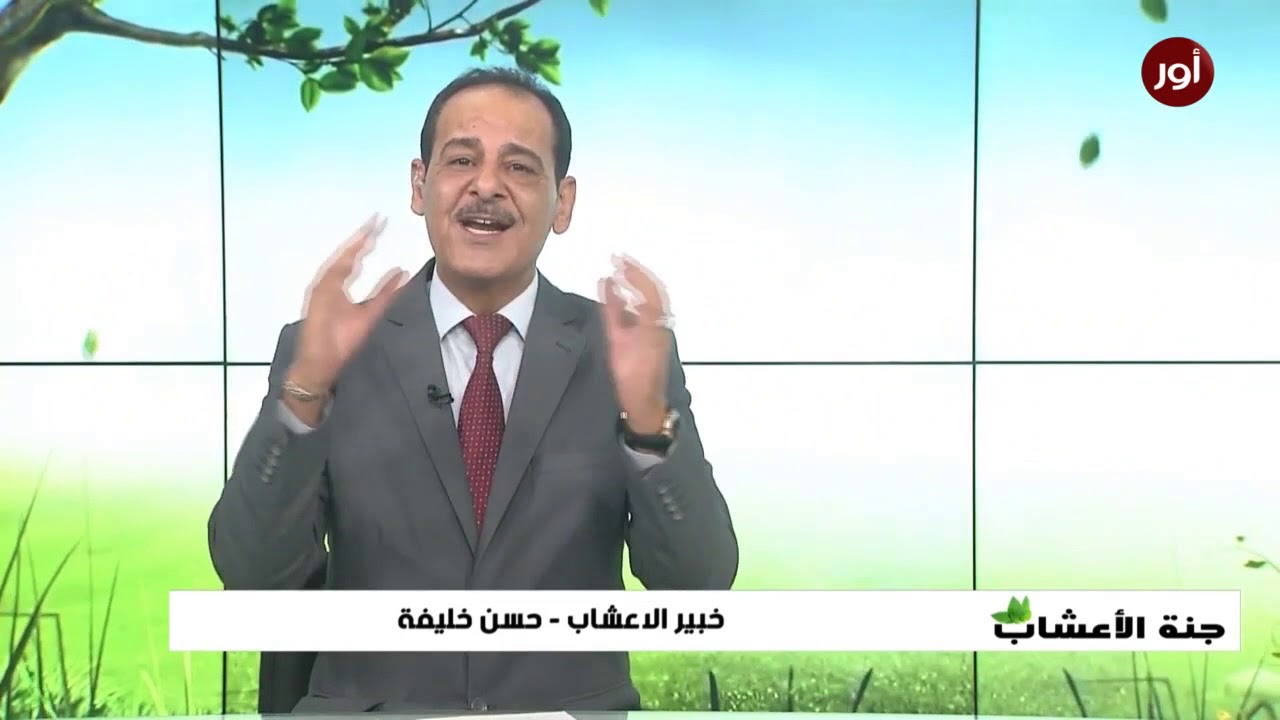 فوائد الروزماري او اكليل الجبل مع خبير الاعشاب حسن خليفة