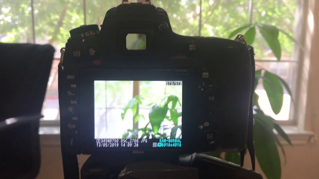 DSLR vs Mirrorless - Shutter Closing vs Silent Shooting