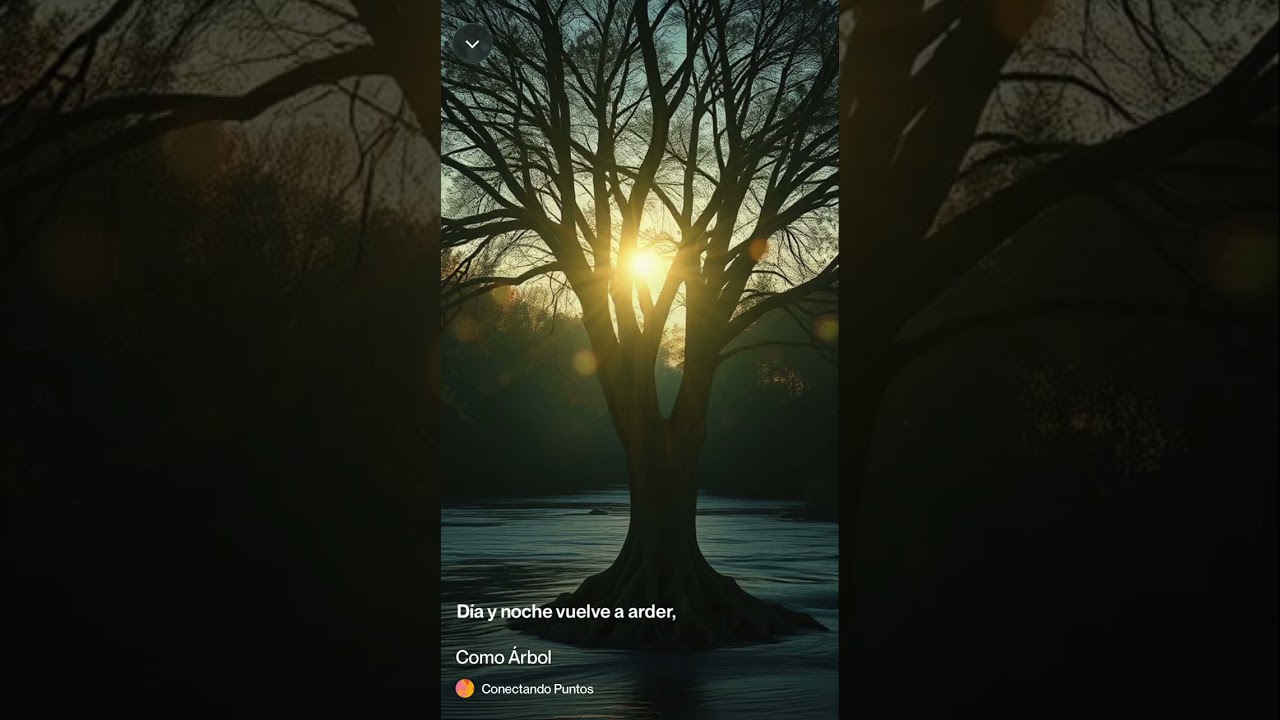 Como Árbol 
