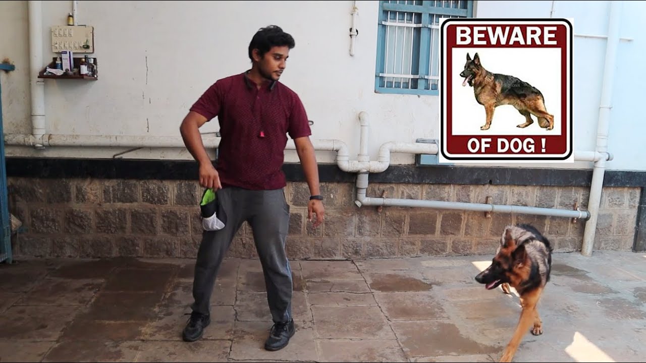 Finally We Trained Maara || German Shepherd || OBEDIENCE TAMIL