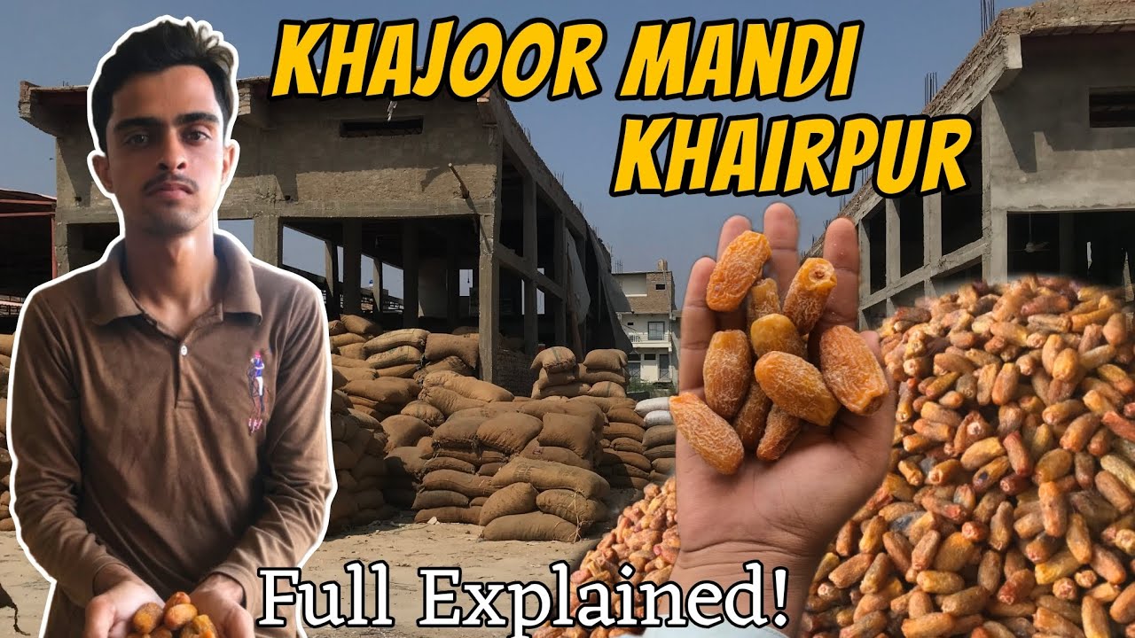 Khajoor Mandi Khairpur Ki Ser | All You Need To Know About Khajoor Market Khairpur | Ibrahim Memon